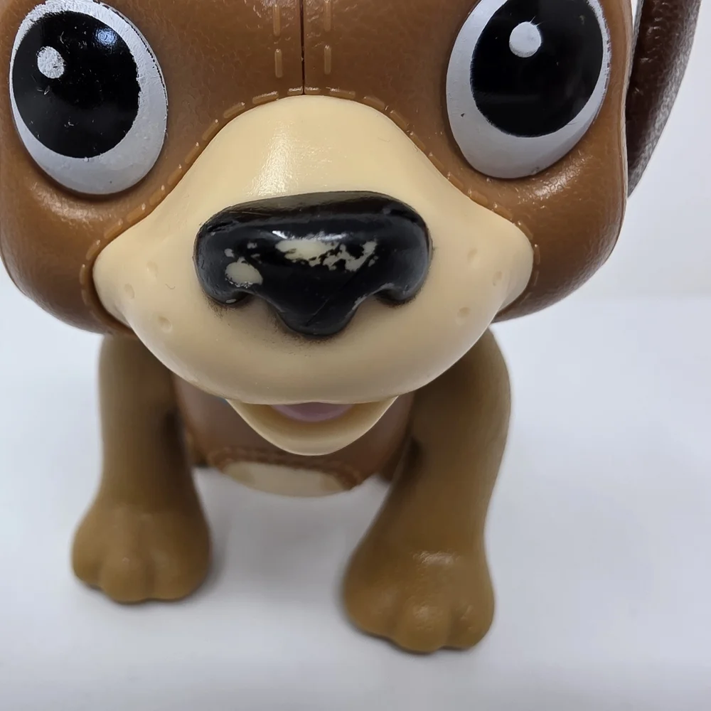 N/A dog has